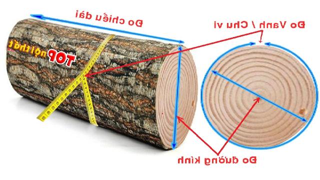 Cách đo và tính mét khối gỗ tròn theo vanh và theo đường kính