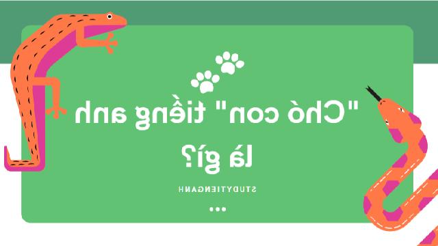 "Chó Con" trong Tiếng Anh là gì: Định Nghĩa, Ví Dụ Anh Việt