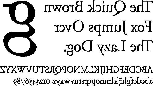 Serif và Sans-serif là gì? Giải mã những lầm tưởng về Serif và Sans-serif